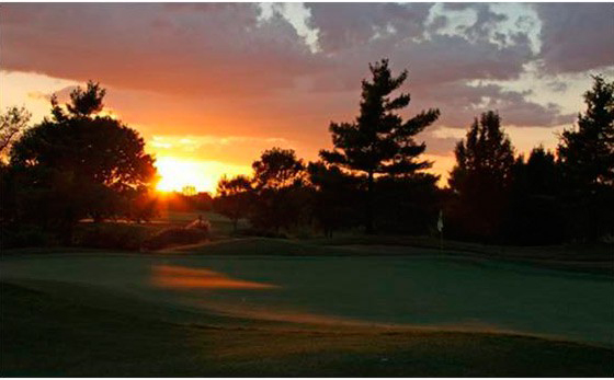 BRIAR RIDGE
