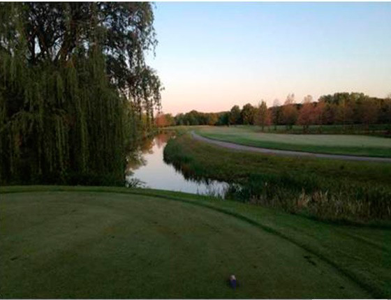 BRIAR RIDGE